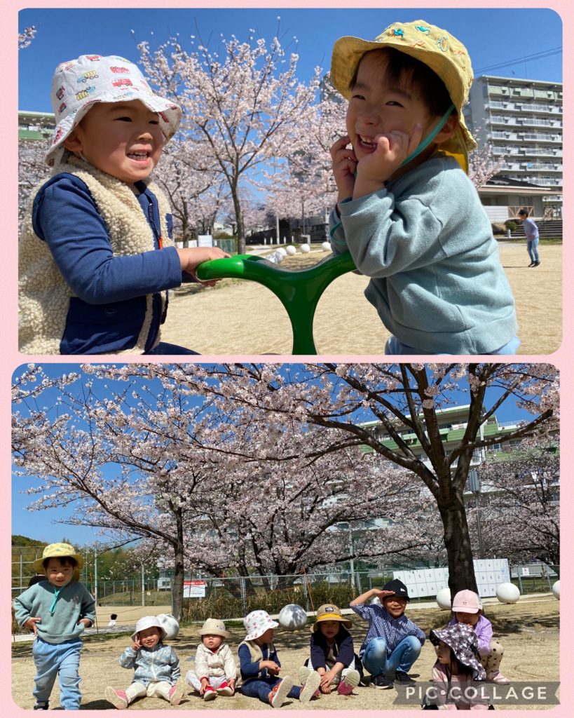 満開の桜をバックに遊具で遊ぶ園児たち