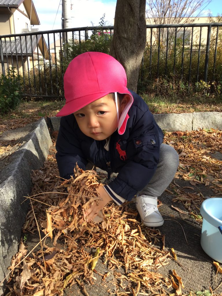 落ち葉を集める園児