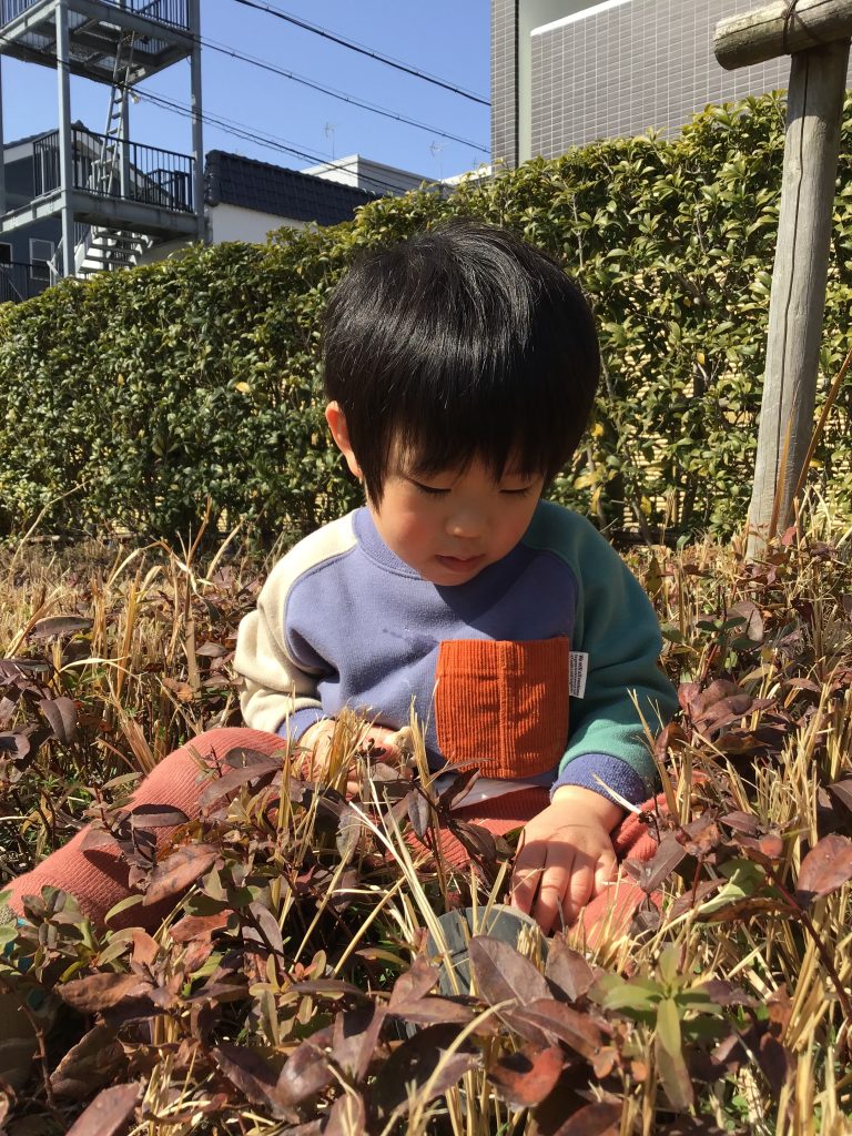 落ち葉の上に座って何か探している園児