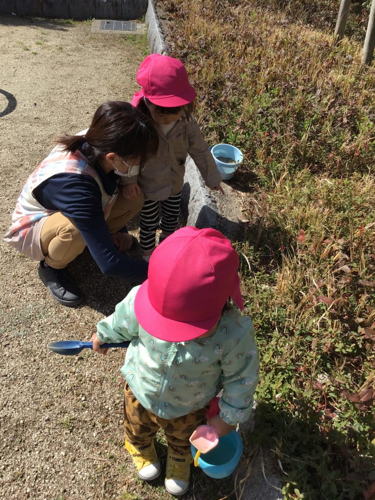 地面や葉っぱで探し物をする園児たち