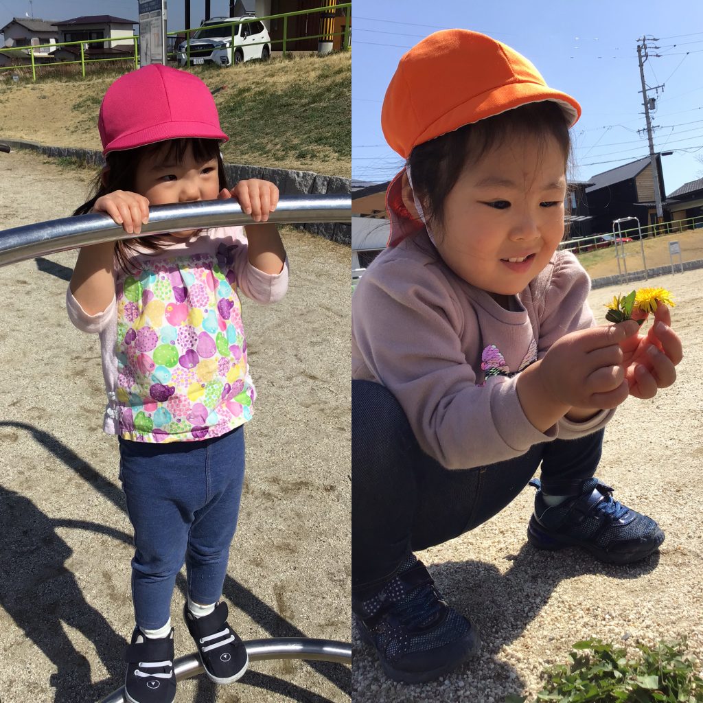 遊具で遊んだりタンポポの花を見つける園児