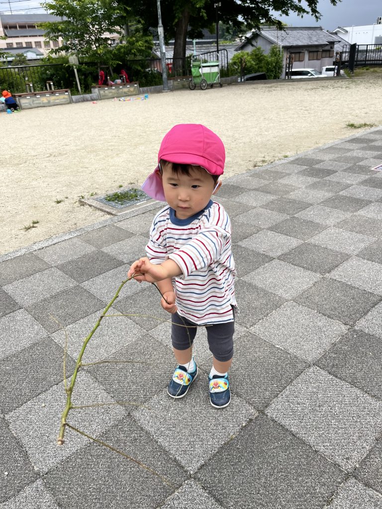 公園で遊ぶ園児