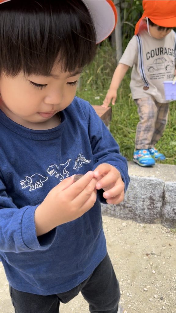 石を拾う園児