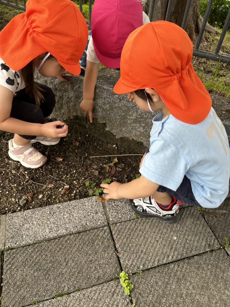 土の上を指差している園児たち