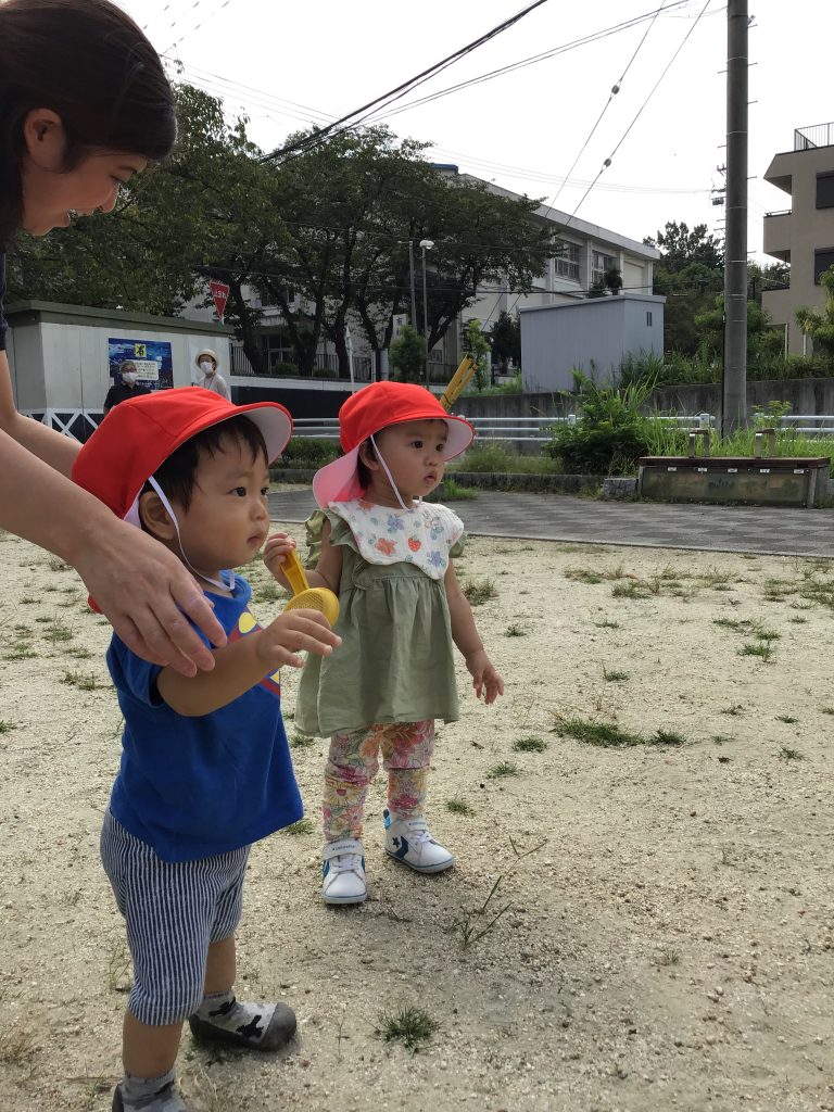 公園で何かを見つめる園児