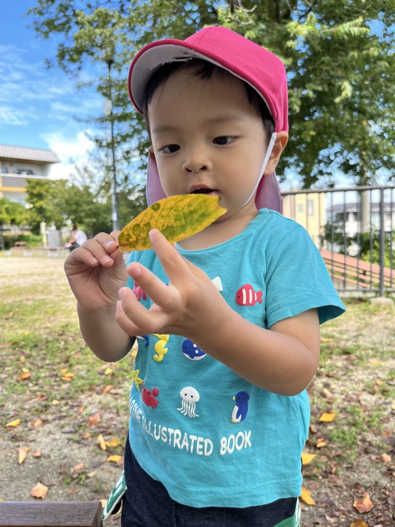 黄色い葉っぱを手に持つ園児