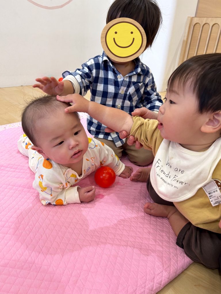 新しく入園したお友達に優しく触る園児たち