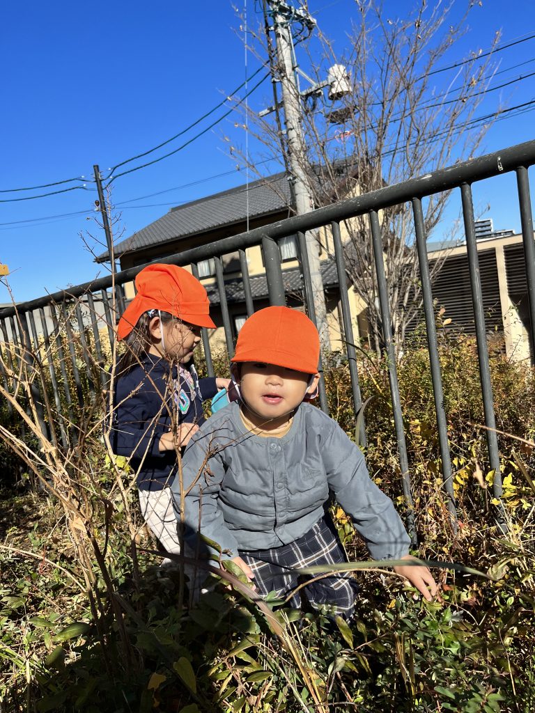 草むらで何かを探す園児たち